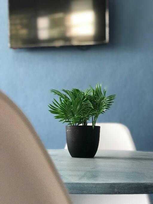 Rachel's -casa Cayetana, Paseo Montejo Appartement *